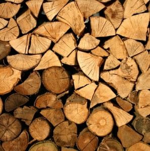 Meet your Posher, Joey